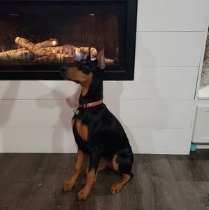 Meet your Posher, Craig